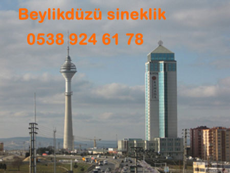 beylikduzu sineklik